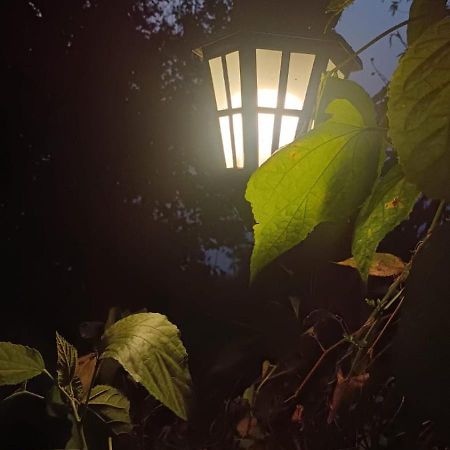 Hotel Aam'S Courtyard Kalimpong Zewnętrze zdjęcie