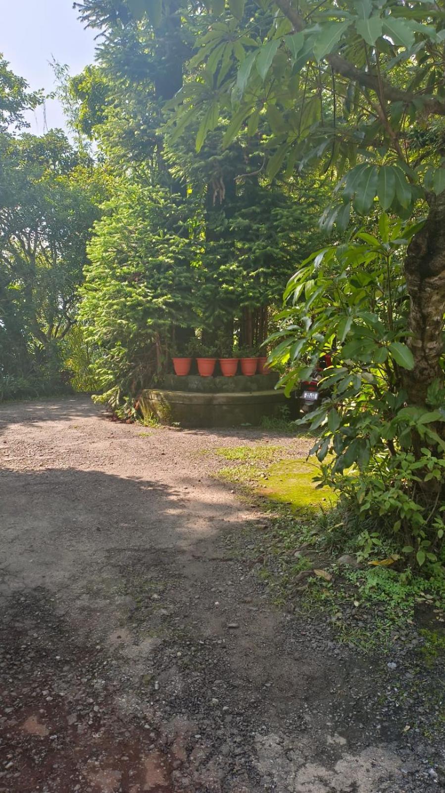 Hotel Aam'S Courtyard Kalimpong Zewnętrze zdjęcie