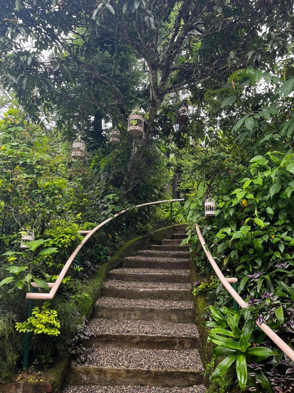 Hotel Aam'S Courtyard Kalimpong Zewnętrze zdjęcie