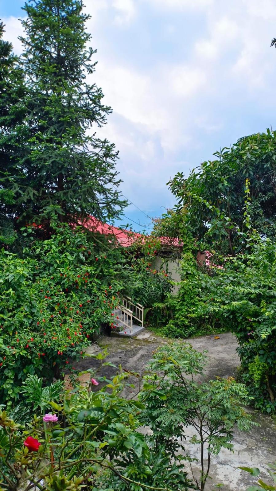 Hotel Aam'S Courtyard Kalimpong Zewnętrze zdjęcie